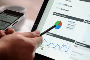A marketer analyzing SEO performance