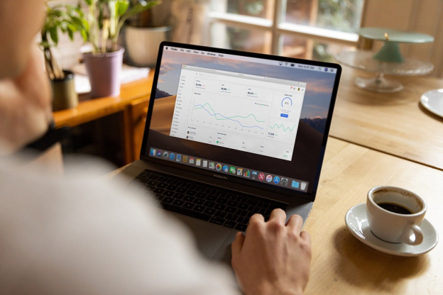 web design and SEO specialist evaluating metadata charts